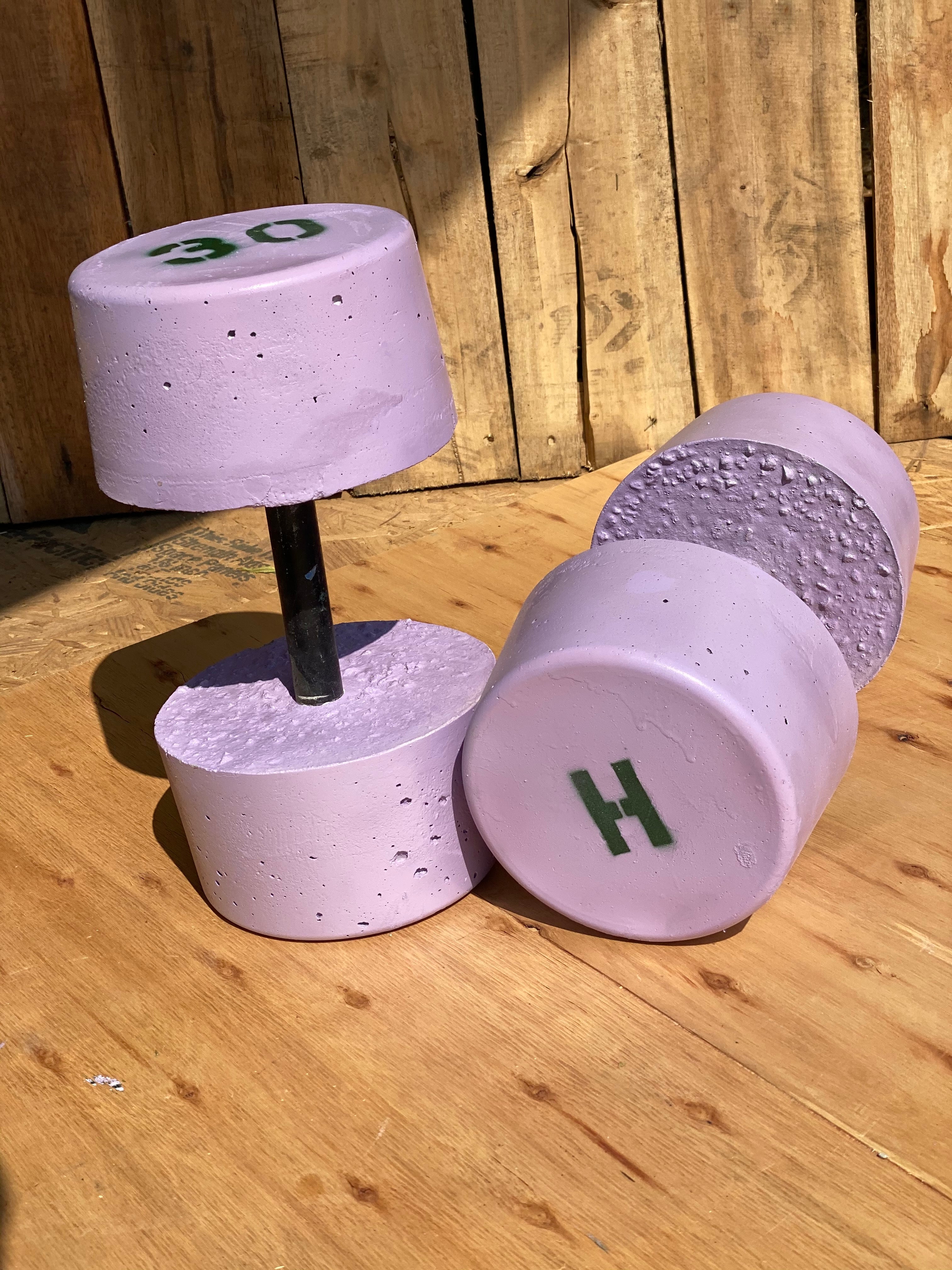 Lavender Lilac Purple