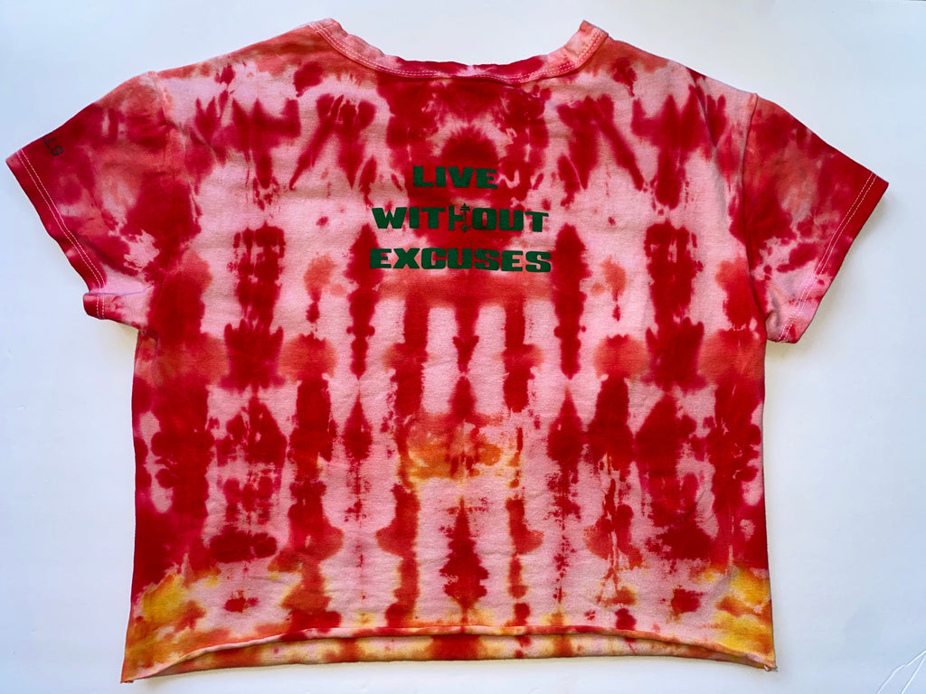 Intensified Ab Crusher (crop top)